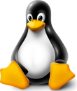 linux-image-340x400